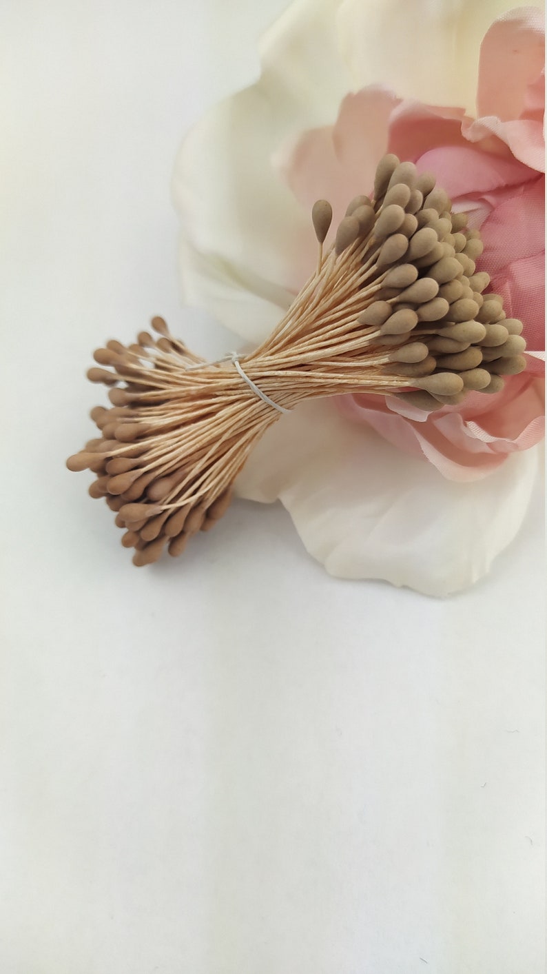 Flower Stamens Japan flowers peps