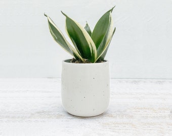 Fairtrade ceramic flower pot glazed, boho, minimal, beige, speckled