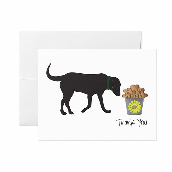 Labrador Card - Big Max Thank You Notes Box of 12
