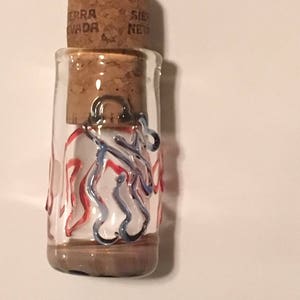 Peut inclure: Petite bouteille en verre avec bouchon en li&egrave;ge. D&eacute;cor&eacute;e de volutes rouges et bleues. Le bouchon porte l'inscription "Sierra Nevada". La bouteille contient un liquide brun.