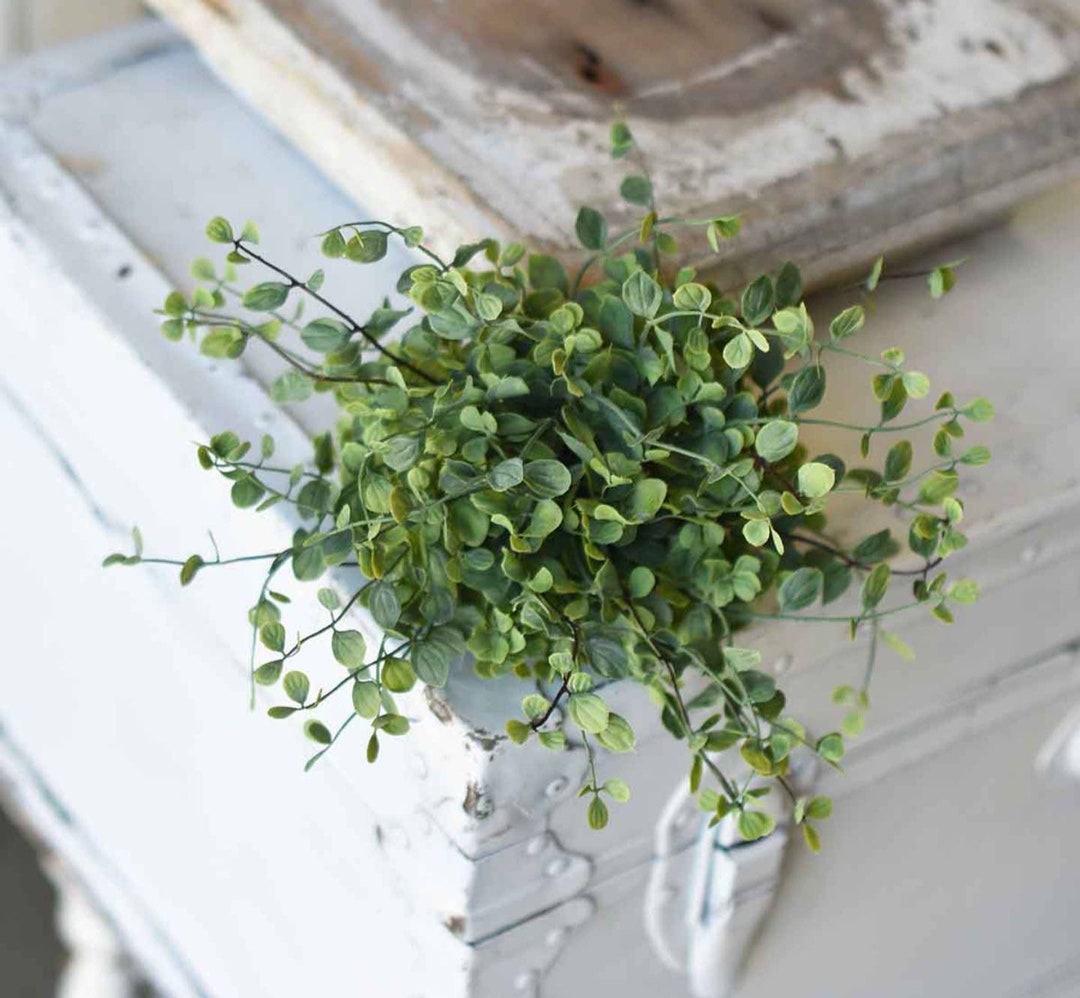 7 Seraph Vine Floral Half Sphere Etsy