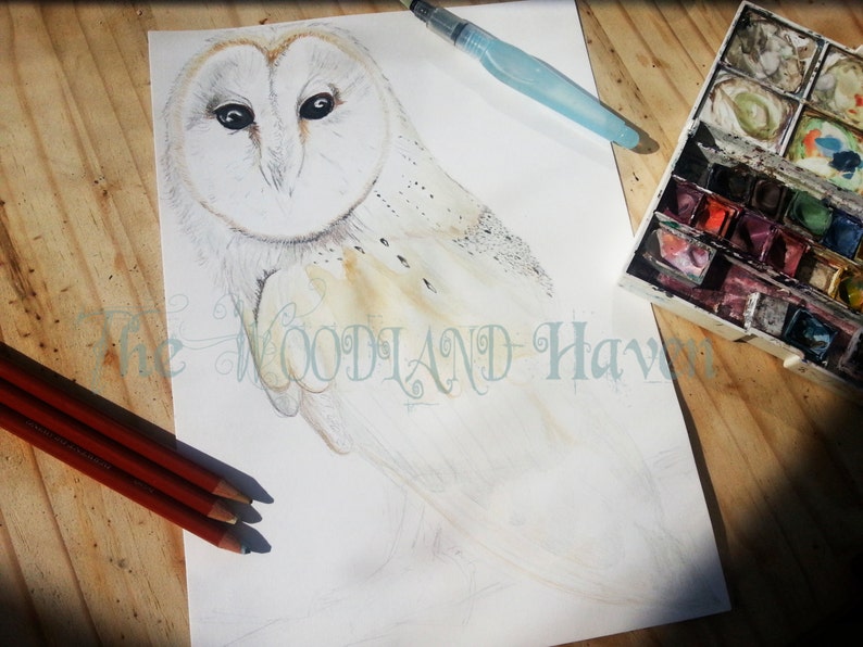 owl sticker,Woodland Wall Decal,nature wall decal,bird wall decal,owl wall art,baby wall decal,barn owl,tree wall decal Owl Wall Decal