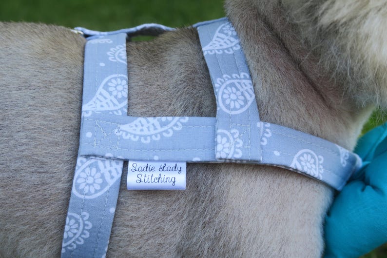 The Grayson // Dog Harness Boy Dog Harness Male Dog Harness Etsy