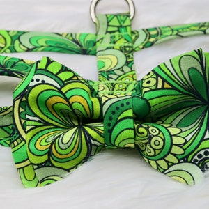 The Connor // Dog Harness, dog halter, male dog harness, boy dog harness, green dog harness, green halter, irish dog harness, st patrick day image 1