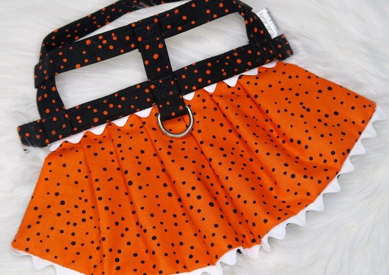 The Raven // Dog Harness Dress Halloween Dog Dress Witch Dog Etsy