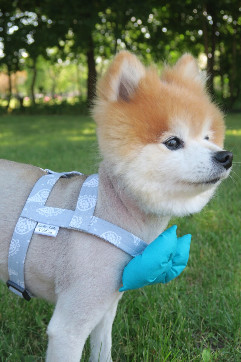 The Grayson // Dog Harness Boy Dog Harness Male Dog Harness Etsy