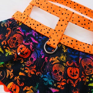 Pode incluir: Um arn&ecirc;s preto para c&atilde;es com uma borda festonada arco-&iacute;ris e uma estampa tem&aacute;tica de Halloween com caveiras, ab&oacute;boras, morcegos e aranhas. O arn&ecirc;s tem uma al&ccedil;a laranja ajust&aacute;vel com bolinhas pretas.