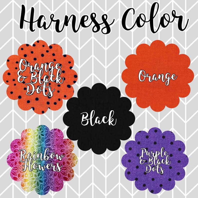 Pode incluir: Cinco op&ccedil;&otilde;es de cores diferentes para um arn&ecirc;s de c&atilde;o. As op&ccedil;&otilde;es s&atilde;o: laranja com pontos pretos, laranja, preto, flores arco-&iacute;ris e roxo com pontos pretos.