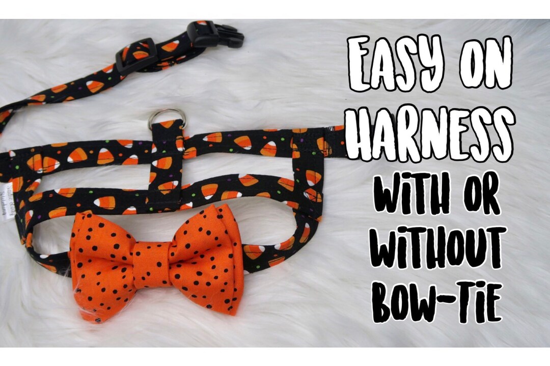 The Damien // Easy on Dog Harness, Cute Dog Harness, Halloween Dog Vest