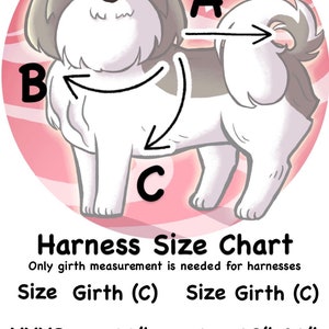 Pode incluir: Um gr&aacute;fico mostrando os tamanhos de arn&ecirc;s para c&atilde;es, com uma ilustra&ccedil;&atilde;o de c&atilde;o de desenho animado. O gr&aacute;fico lista os tamanhos de XXXS a 4XL, com as medidas de circunfer&ecirc;ncia correspondentes em polegadas.
