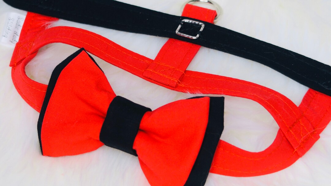 The Santa // Christmas Dog Harness, Cute Dog Harness, Christmas Dog