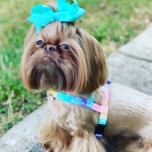 The Plain Jane // Simple Dog Harness, easy on dog harness, slip on dog harness small dog harness, medium dog harness, rainbow dog halter,