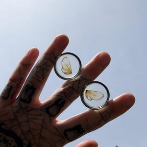 Puede incluir: Dos pendientes circulares transparentes, cada uno con un ala de mariposa preservada. Las alas son de color marrón claro, y los pendientes se sostienen contra un cielo azul brillante. Un accesorio único.