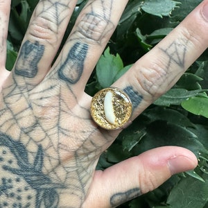 Gold Raccoon Tooth Stainless Steel Adjustable Ring.