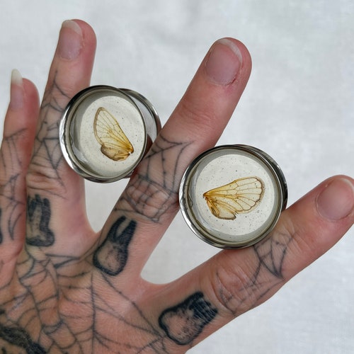 Cicada Wing Stainless online Steel Plugs- Size 1inch.