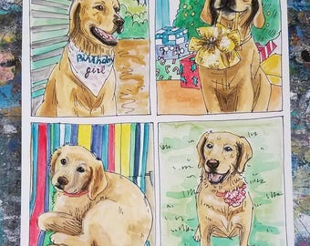 4 in 1 Pen & Watercolor Pet Portraits