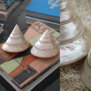 May include: Two conical seashell decor pieces with a smooth, pearlescent finish. The shells feature a natural cream and tan color palette with subtle iridescent highlights. Each shell has a spiraled, tiered structure tapering to a point at the top.