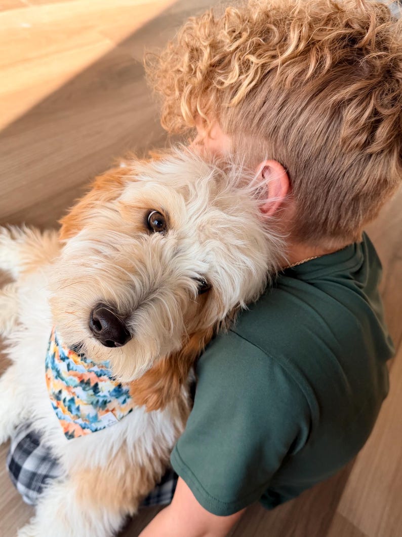 May include: A light brown and white dog wearing a patterned bandana is being embraced by a person wearing a green shirt. The dog's fur is curly, and the bandana features a blue, orange, and white design. The dog is looking at the camera.