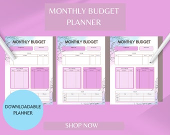 Biweekly Budget Planner | Digital Monthly Planner | Paycheck Budget Spreadsheet Template With PDF | Minimalist Digital Agenda | Financial