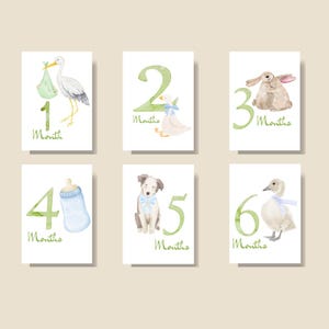 Set of six watercolor baby milestone cards. Each card features a number from one to six, with corresponding illustrations of a stork, duck, rabbit, baby bottle, puppy, and duckling. The word "Months" is written below each number.