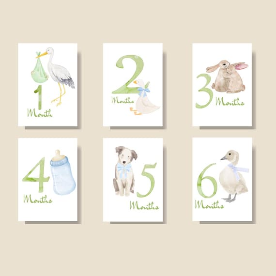 Watercolor Baby Milestone Cards: Linen Cardstock, Newborn Photo Props