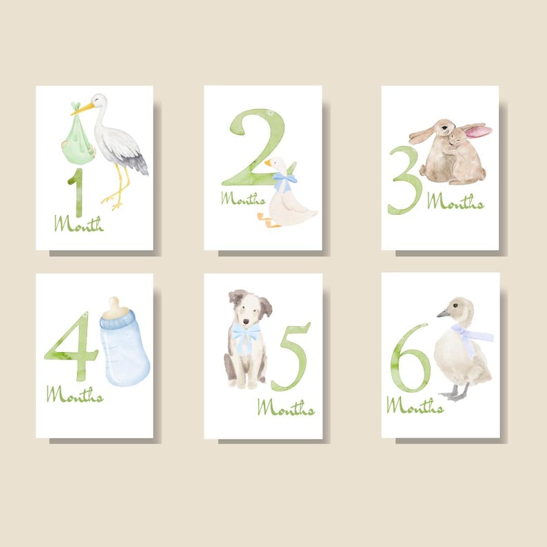 Set of six watercolor baby milestone cards. Each card features a number from one to six, with corresponding illustrations of a stork, duck, rabbit, baby bottle, puppy, and duckling. The word "Months" is written below each number.