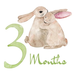 Watercolor illustration of two hugging bunnies. The larger bunny embraces the smaller one. The number "3" and the word "Months" are in green, indicating a baby's age. The bunnies are beige with pink accents.
