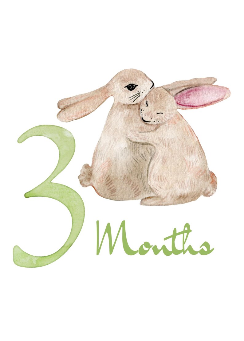 Watercolor illustration of two hugging bunnies. The larger bunny embraces the smaller one. The number "3" and the word "Months" are in green, indicating a baby's age. The bunnies are beige with pink accents.