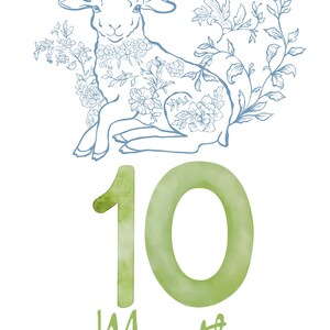 May include: A light blue line drawing of a lamb with floral accents, and the number 10 in green watercolor, with the word "Months" below. The lamb is decorated with flowers and vines.