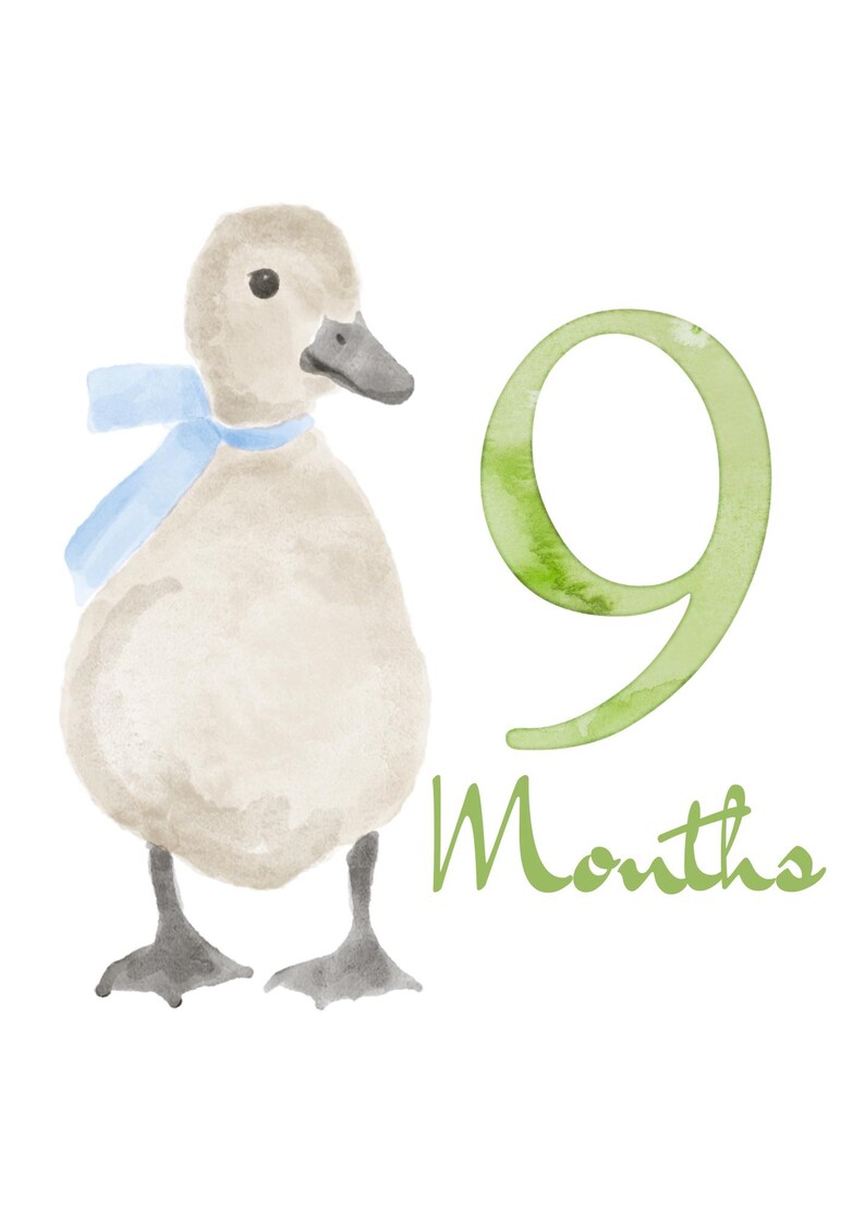 May include: Watercolor illustration of a duckling wearing a blue scarf, with the number 9 and the word "Months" in green. The duckling is beige with a gray beak and feet, set against a white background.
