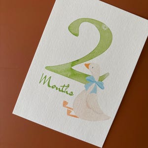Baby Milestones Cards, Gender Neutral,  Best baby shower gift