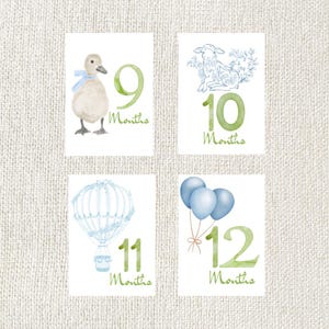 Four watercolor baby milestone cards. Each card features a number from 9 to 12, with the word "Months" below. The cards have illustrations of a duck, lamb, hot air balloon, and balloons, all in soft blue and green hues.