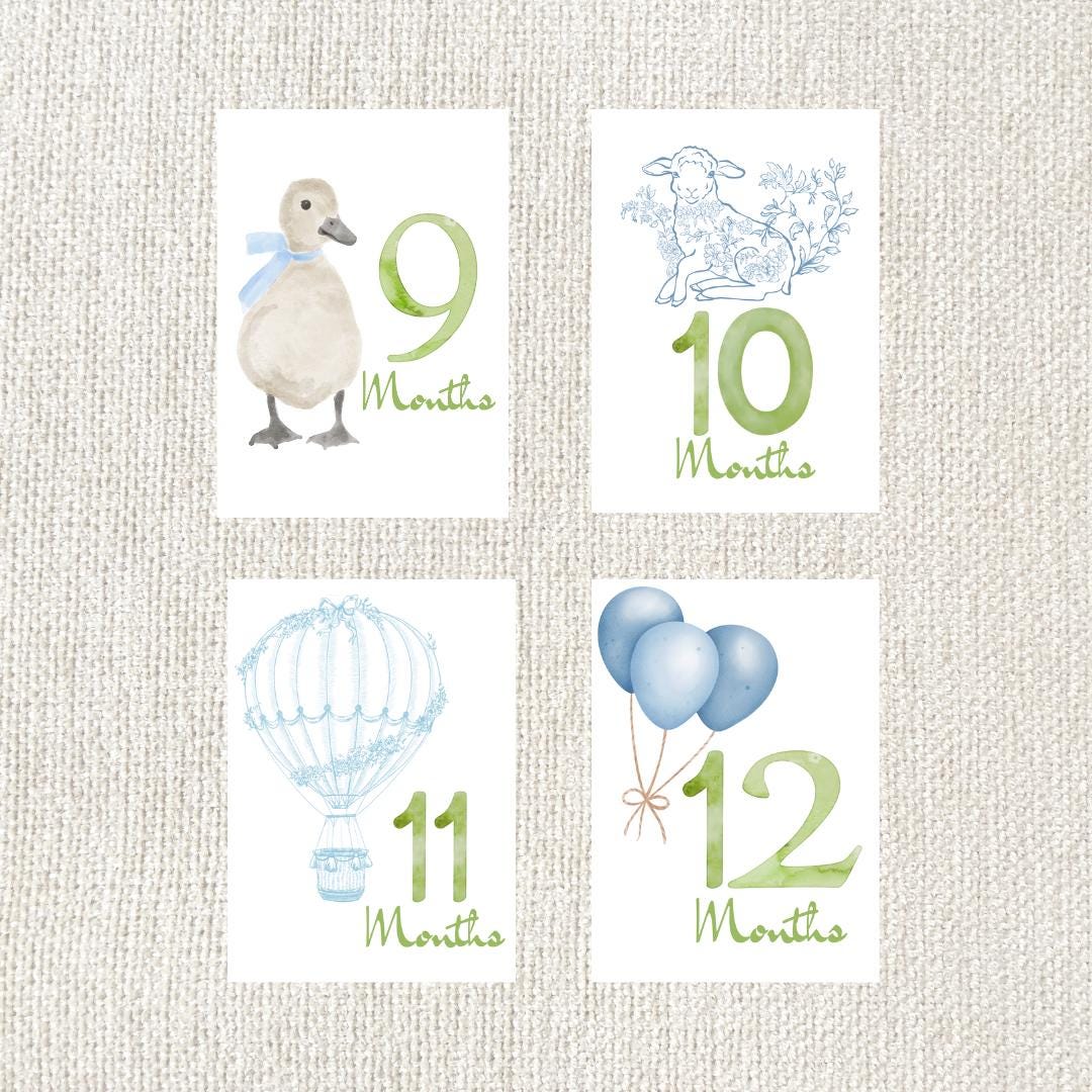 Watercolor Baby Milestone Cards: Linen Cardstock, Newborn Photo Props ...