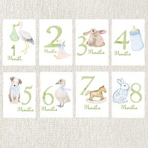 Watercolor baby milestone cards featuring numbers 1-8 with corresponding illustrations. The cards include a stork, duck, rabbits, bottle, puppy, duck, rocking horse, and a bunny. Each card has the word "Month" written below the number.