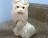 Avon Yorkie