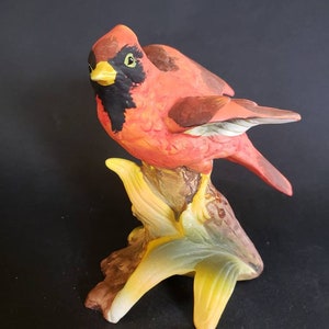 Japan bisque cardinal bird