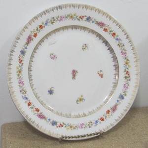 Carl Tielsch Altwasser German Porcelain plate