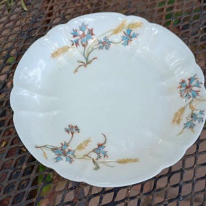 Victorian Haviland and co. limoges 1900-1909 Blue Floral bowl plate, decorative bowl.