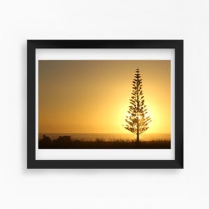 New Zealand sunrise photo print, Waimarama Bay