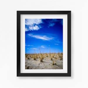 Montauk Beach, Long Island, New York