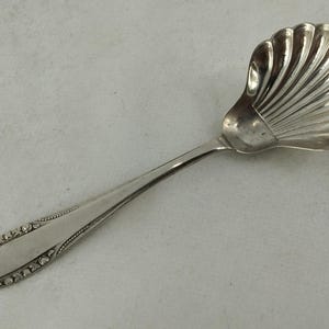 May include: A silver-toned metal spoon featuring a bowl shaped like a scalloped seashell with deep ridges. The handle is smooth and tapered, decorated with a delicate beaded border and small floral motifs along the edges of the stem.