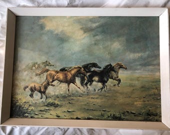Vintage Original Mid Century Retro Framed Signed Print On Board Andrew Alexander - Running Wild Horse Print Tretchikoff Era 1968