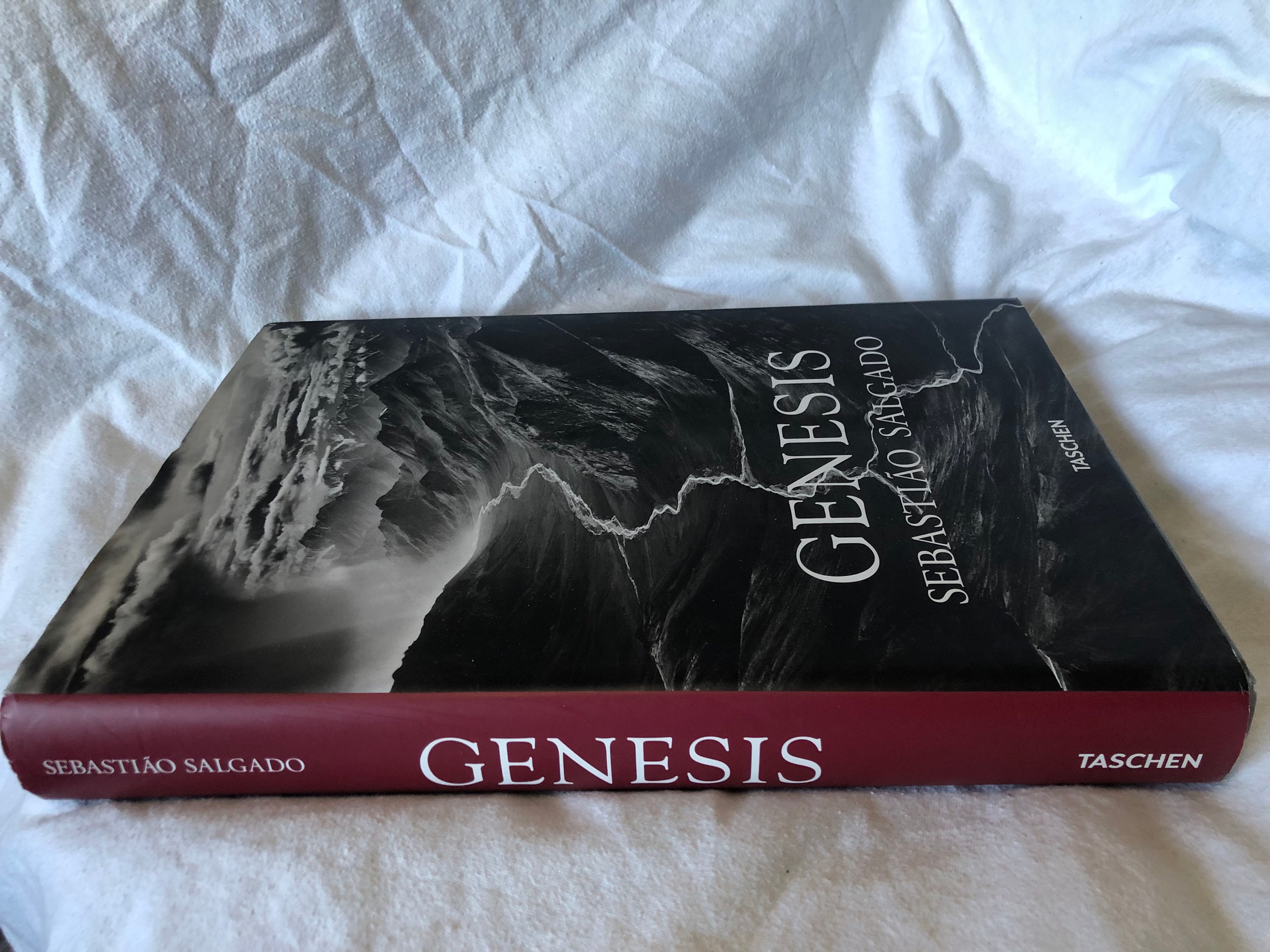 GENESIS Salgado Sebastiao Hardcover Book 2013 Taschen