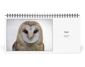 Owl 2027 Desk Calendar 