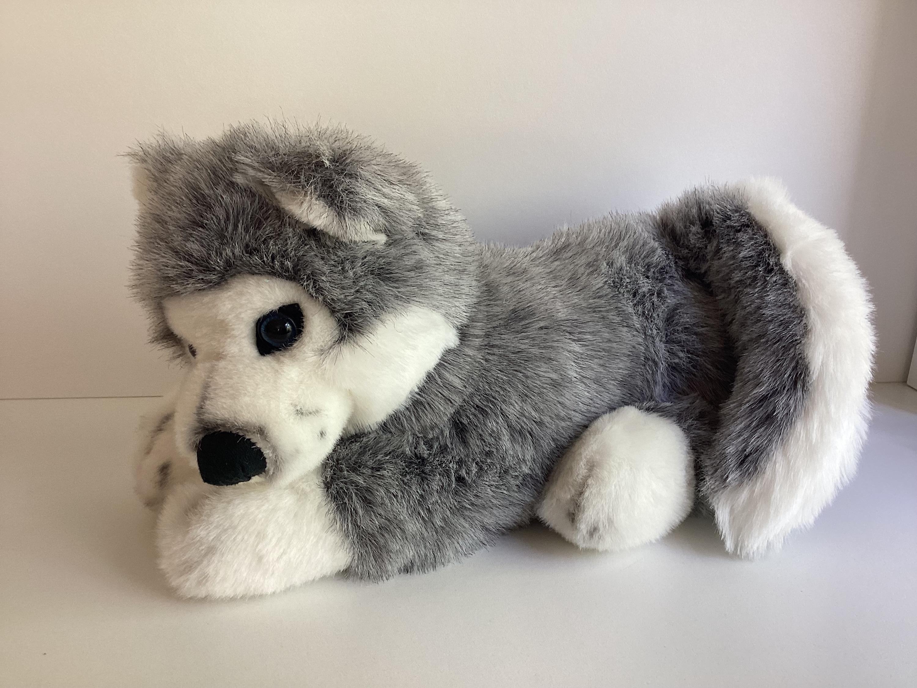 DUSTY HUSKY 1st YxKxLページ DUSTY HUSKY 1st YxKxLページ dustyhusky | STORES