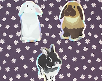 NETHERLAND DWARF or Lop RABBIT Holographic Vinyl Sticker