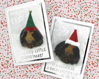GUINEA PIG CHRISTMAS Cards with imperfections and reduced in price