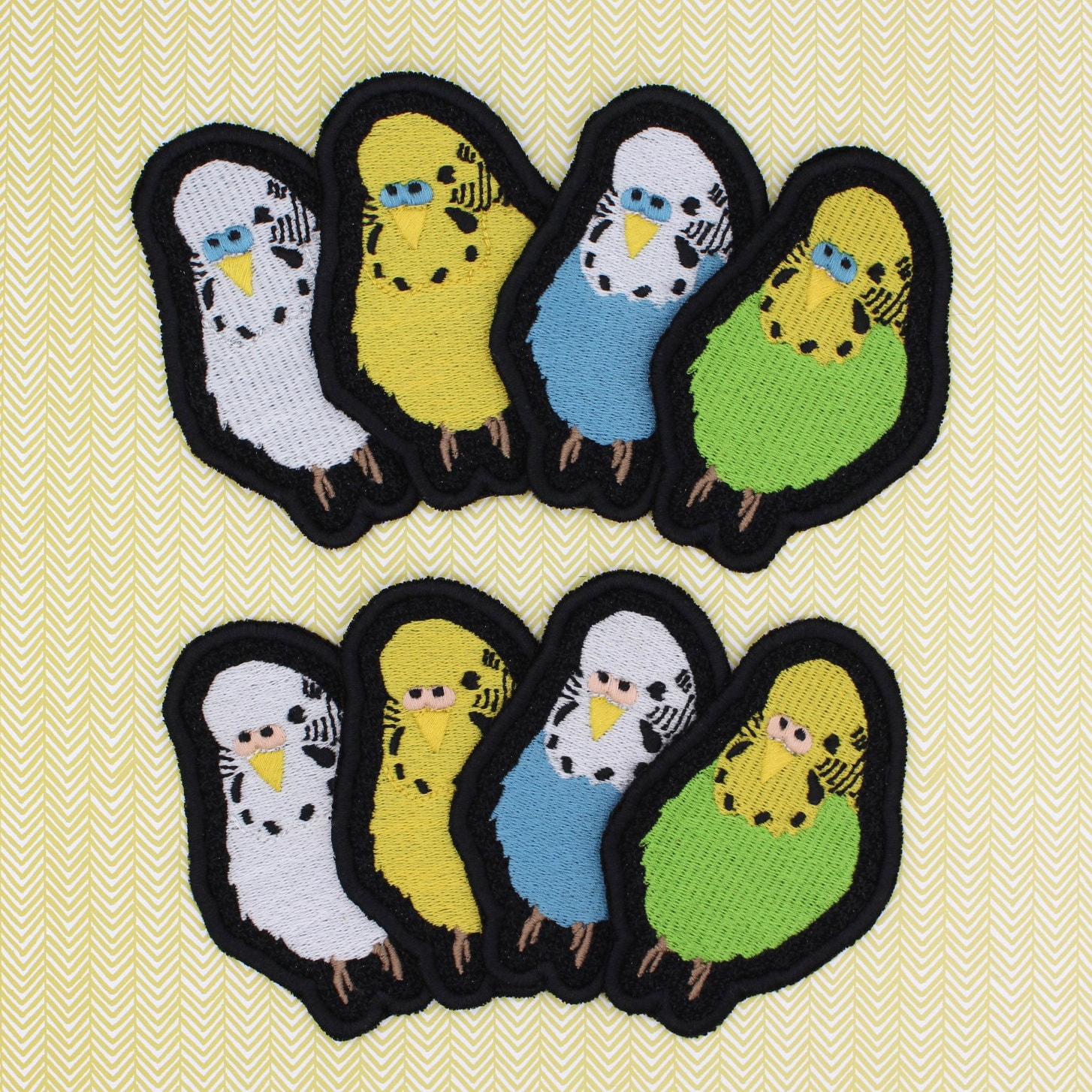 Budgie様 Yellow Face Turquoise English Budgie for sale (Budgerigar