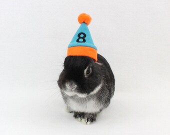NUMBER BIRTHDAY HATS for toys or Guinea pigs or Rabbits