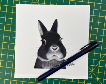 NETHERLAND DWARF Mini GICLEE Fine art Print Signed with white mount 6”x6”